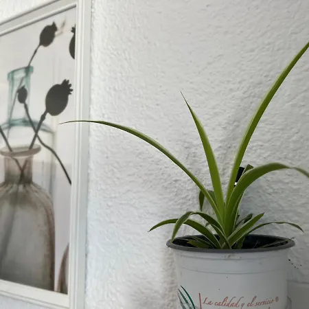 Aloha Apartamento *